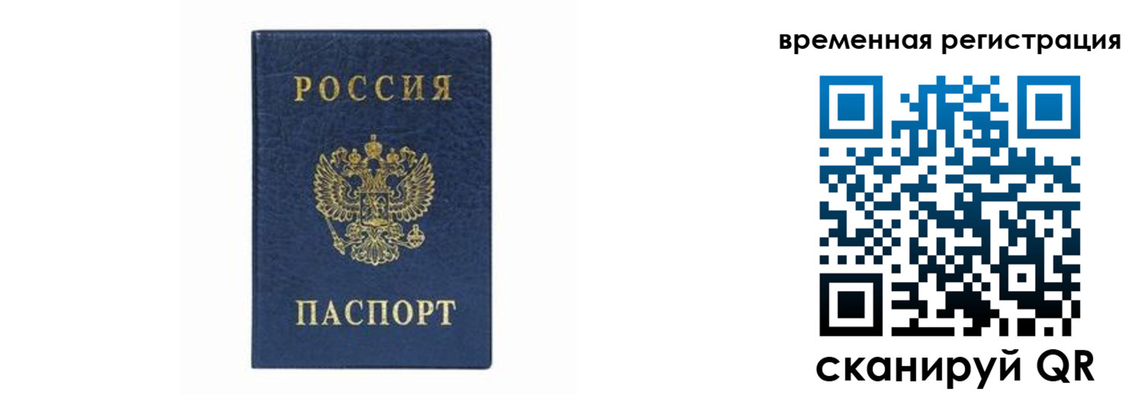 прописка от собственника в Ершове